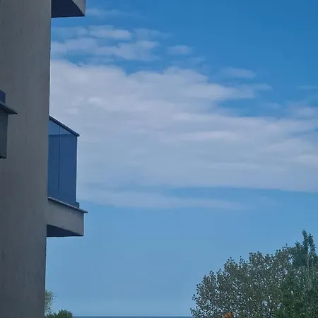 Ayan